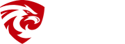 Hawk Eye Security